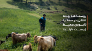 حفظ محیط زیست 5