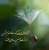 آفریدگار کاینات